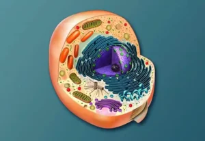 biologi-unit-terkecil-dan-fondasi-kehidupan-sel