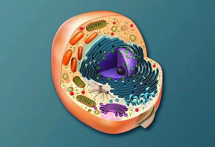 biologi-unit-terkecil-dan-fondasi-kehidupan-sel